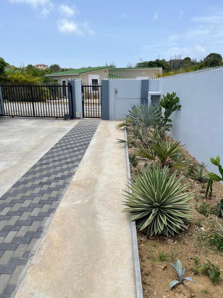 Villa Susanna 3 Bedroom 2 Bathroom House Sleeps 6Plus วิลเลมสตัด ภายนอก รูปภาพ